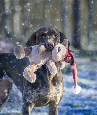 Cupid & Comet Kerstbeer Brad 29X16 Cm