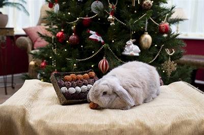 Rosewood Gift 'N' Forage Truffel Schaal