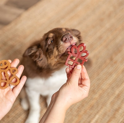 Trixie Xmas Cadeau Met Kippenborst 31 Gr 90 St