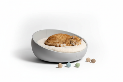 Katten - Bedden & Manden