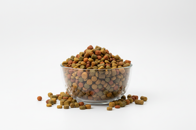 Terrarium - Reptielenvoer