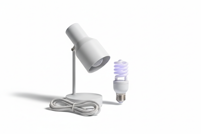 Terrarium - Verlichting