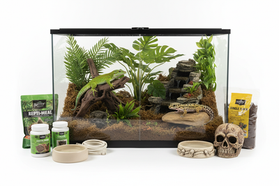Terrarium