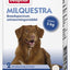Beaphar Milquestra Hond