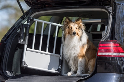 Trixie Transportbox Aluminium