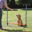 Trixie Dog Activity Agility Horde Blauw / Oranje