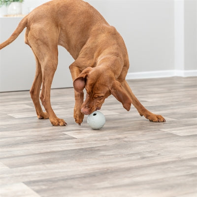 Trixie Snackbal Rubber Grijs