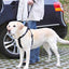 Trixie Autogordel Korthouder Universeel Zwart
