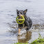 Trixie Aqua Toy Trekspeeltje Tpr Lime