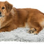Trixie Ligmat Harvey Wit / Grijs 95X65 Cm