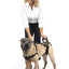 Solvit Petsafe Carelift Voor En Achter