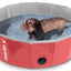 Martin Hondenzwembad Rood