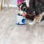 Trixie Dog Activity Strategiespel Ball&Treat Lichtgrijs / Blauw