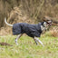 Trixie Hondenjas Calvi Zwart S 40 Cm