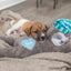 Trixie Pluche Luiaard Grijs Met Heartbeat Voor Puppy