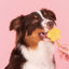 Smoofl Ijsmix Voor Honden Appel 160 Gr