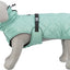 Trixie Citystyle Be Eco Hondenjas Oslo Gerecycled Jade Groen 40 Cm