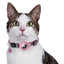 Croci Halsband Kat Met Tag Houder Roze