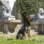 Morso Hondenriem Verstelbaar Gerecycled Full Metal Dog Bruin