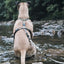 Morso Hondentuig H-Tuig Gerecycled Full Metal Dog Bruin