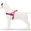 Morso Norwegian Hondentuig Gerecycled Pink Think Roze