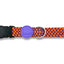 Morso Halsband Hond Gerecycled Urban Lizard Rood