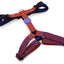 Morso Hondentuig H-Tuig Gerecycled Urban Lizard Rood