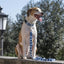 Morso Halsband Hond Gerecycled Splash Blauw