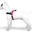 Morso Norwegian Hondentuig Gerecycled Bubble Leo Roze 41-56X38 Cm