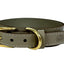 Sazzz Halsband Hond Pioneer Classic Leer Taupe