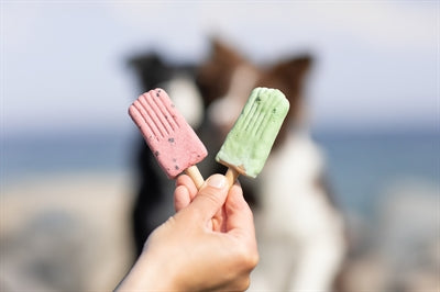 Trixie Ice Pop Rood