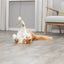 Trixie Kattenhengel Ster Kunststof / Pluche Met Catnip