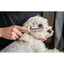Mikki Doodle Grooming Kit Met Kam En Slickerborstel