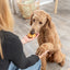Trixie Denta Fun Twists Van Collageen Met Kip