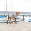 Trixie Be Nordic Regenjas Husum Zand 30 Cm