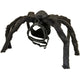 Croci Hondentuig Fright Spider L 48-75 Cm