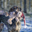 Cupid & Comet Kerstbeer Brad 29X16 Cm
