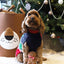 Cupid & Comet Christmas Eve Gift Pack Met Trui / Speeltje / Snacks 43 Cm