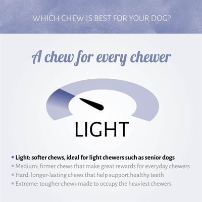 Antos Mini Bones Pens