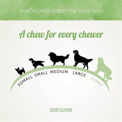 Antos Chicken D'light Drumsticks