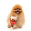 Fuzzyard Ham A Merry Pigmas Bout 18X9,5X9,5 Cm