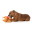 Fuzzyard Lets Get Basted Roast Kalkoen 19X14X8 Cm