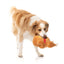 Fuzzyard Lets Get Basted Roast Kalkoen 19X14X8 Cm