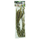 Back Zoo Nature Millet Setaria