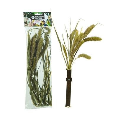 Back Zoo Nature Millet Setaria