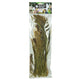 Back Zoo Nature Millet Panicum