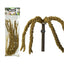 Back Zoo Nature Franse Trosgierst Geel