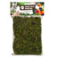 Back Zoo Nature Forest Moss