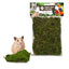 Back Zoo Nature Forest Moss