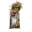 Back Zoo Nature Discovery Topping